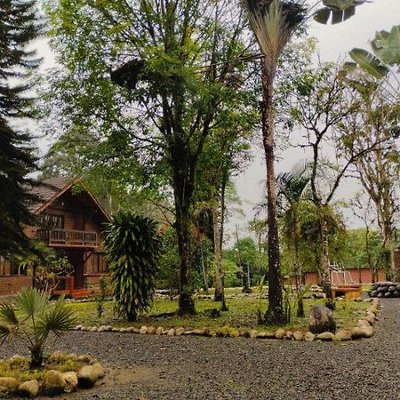 Hosteria Sapos Y Ranas Milpe Bagian luar foto