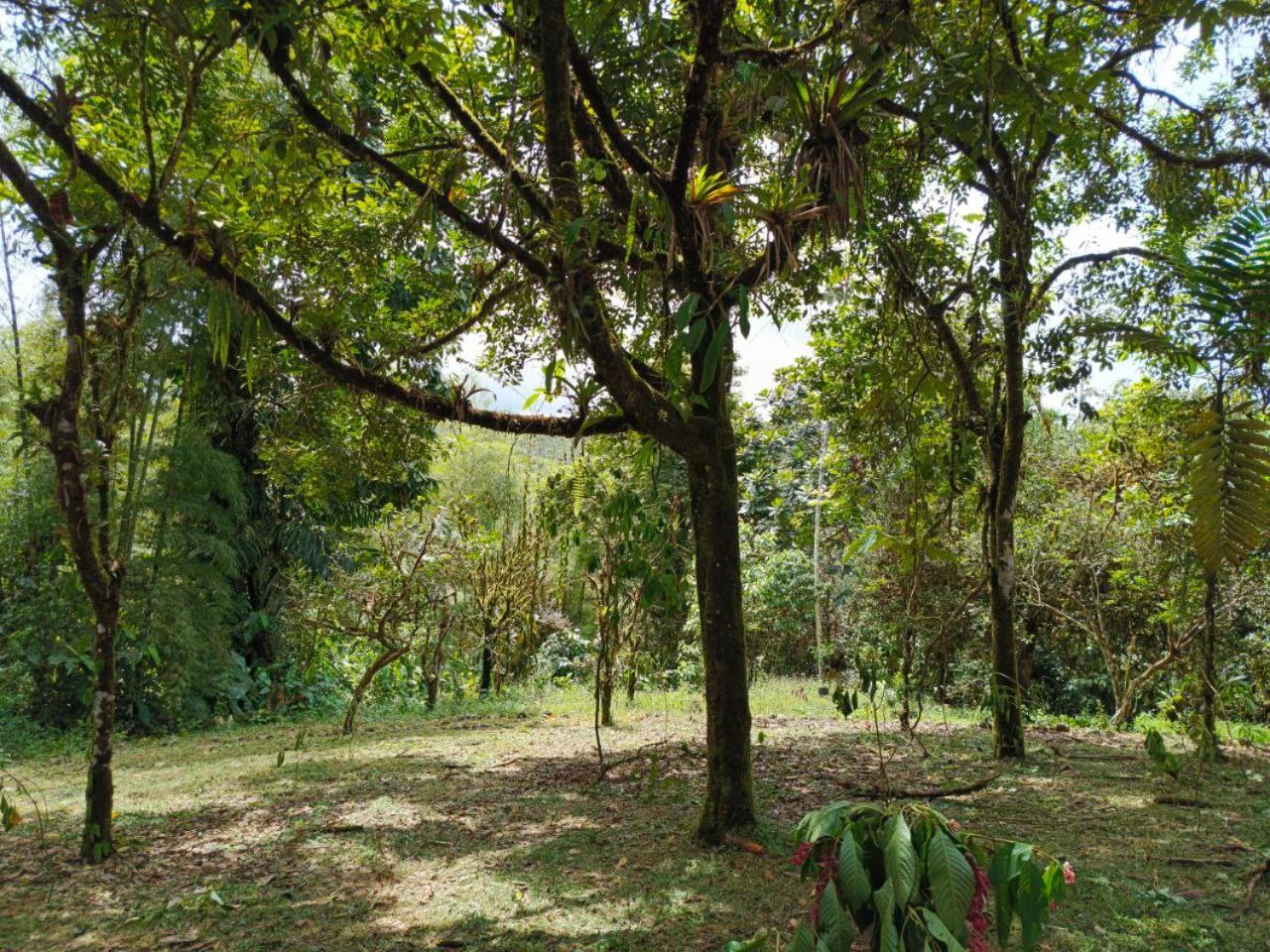 Hosteria Sapos Y Ranas Milpe Bagian luar foto