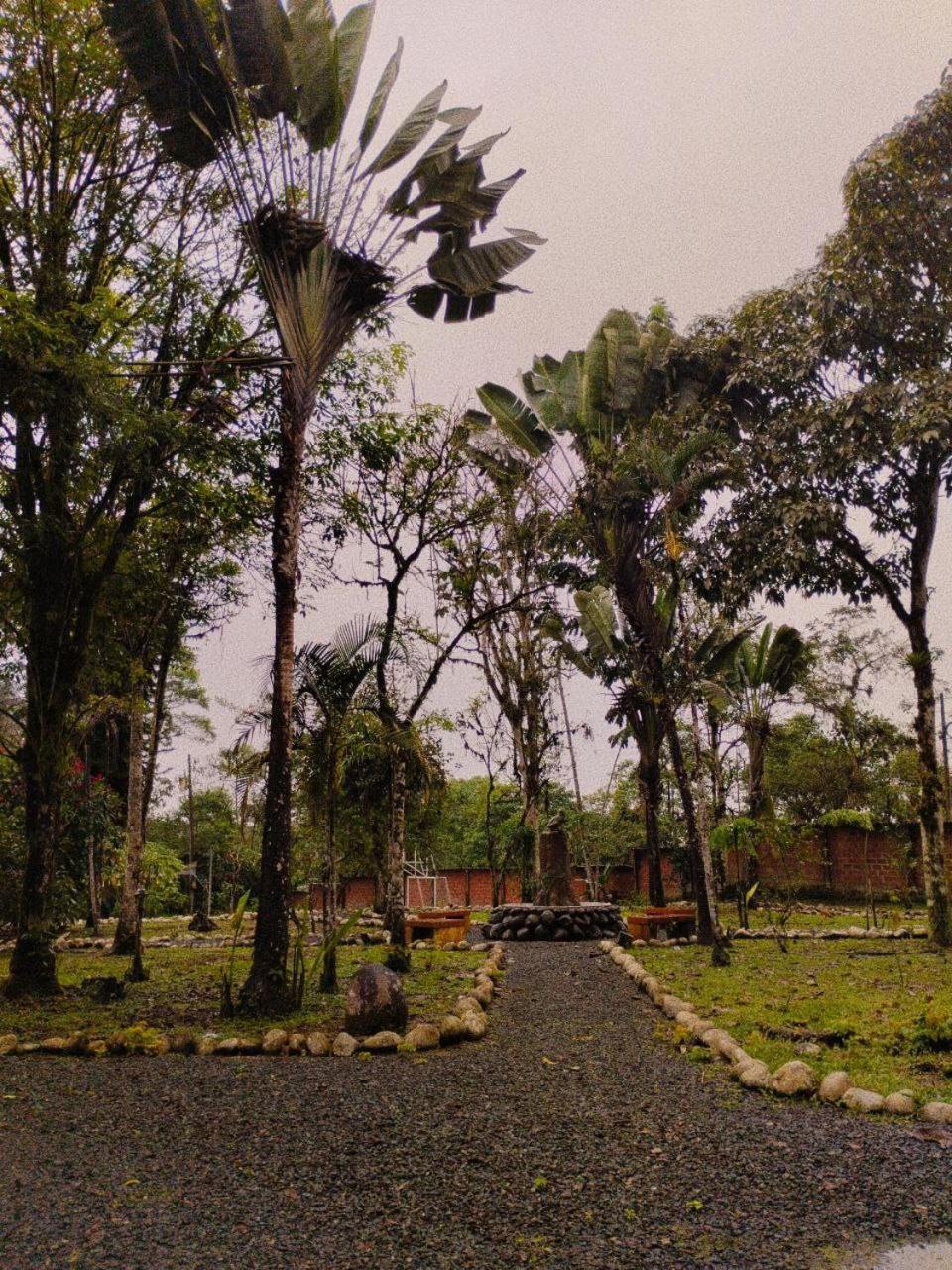 Hosteria Sapos Y Ranas Milpe Bagian luar foto